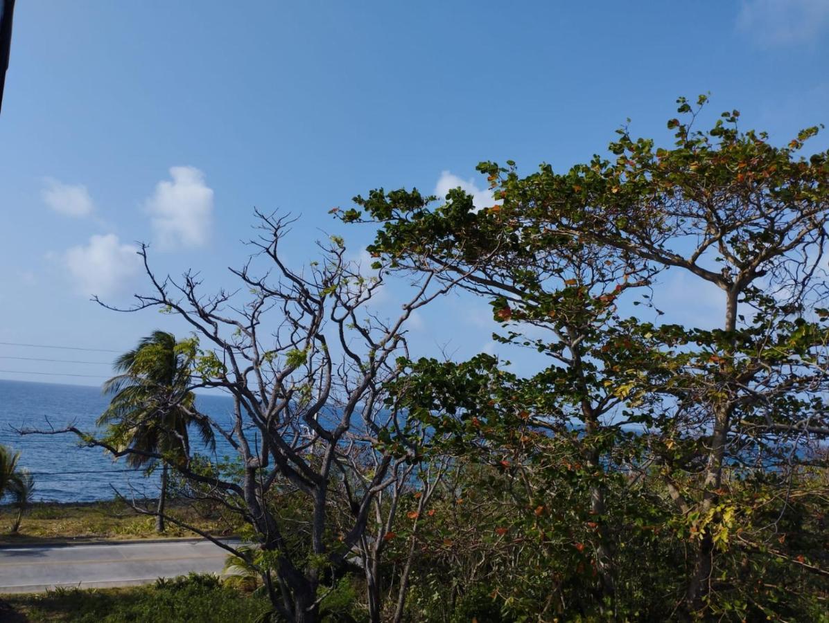 San Andrés Sunset Paradise מראה חיצוני תמונה